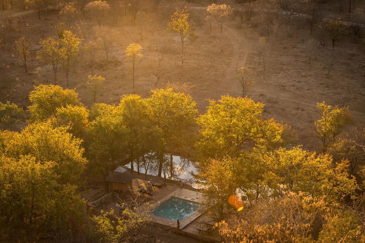 Villa Chacma Bush Camp à Réserve de Balule Extérieur photo